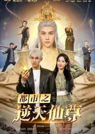 都市之逆天仙尊