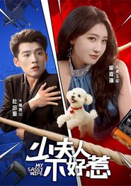 少夫人不好惹