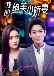 我的绝美小娇妻