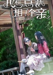 我和总裁相了个亲