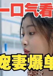 宠妻爆单