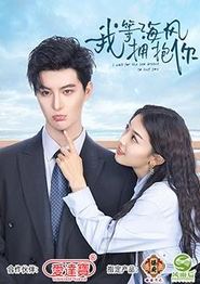 我等海风拥抱你