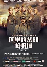 这里的黎明静悄悄(2015)